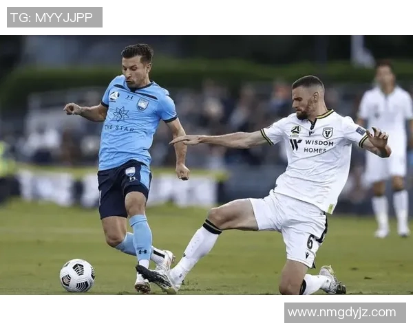 布里班狮吼与凤凰的激烈对决揭示澳超联赛的精彩与悬念