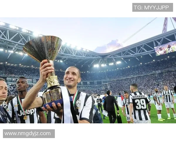 尼姆与欧塞尔历史交锋记录分析及战绩回顾