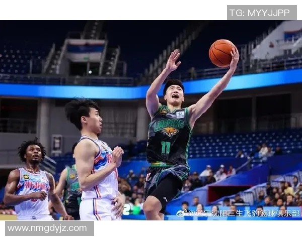 新疆对阵辽宁精彩全场录像回放及赛后精彩瞬间分析