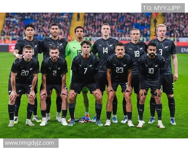 黑山队与罗马尼亚队激战正酣足球友谊赛精彩回顾与分析