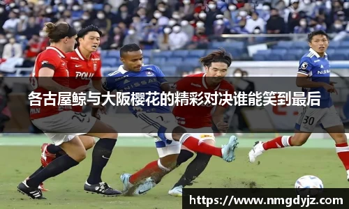 QY球友会体育