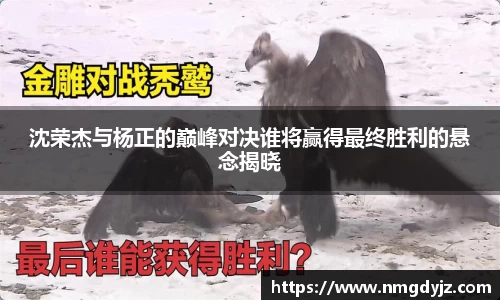 千亿球友会